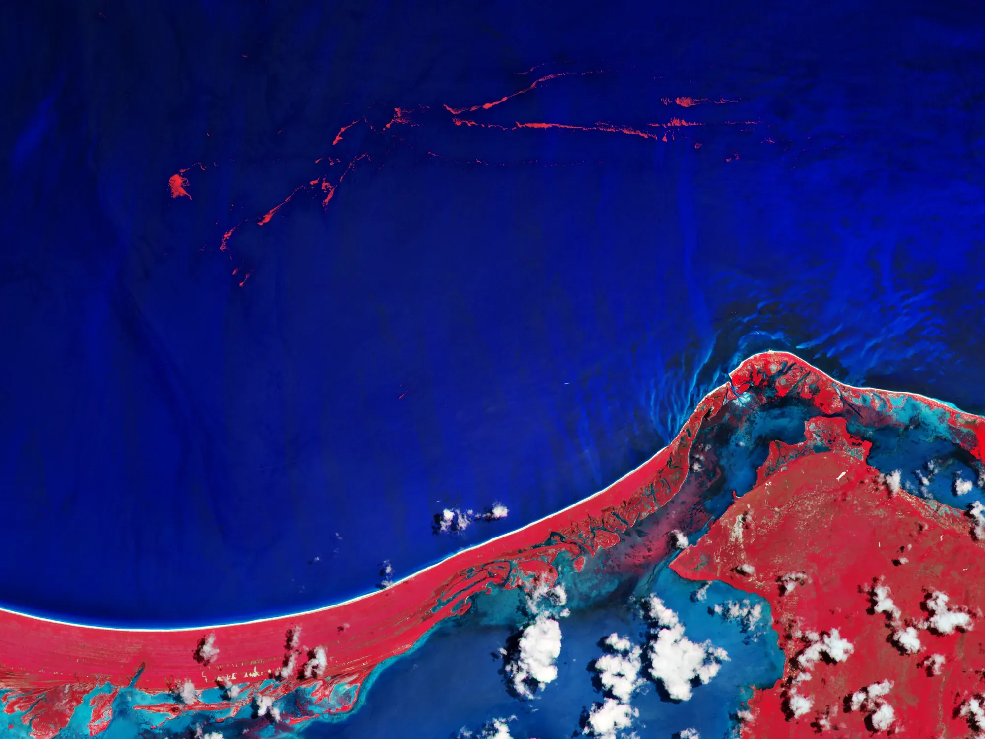 Imagen satelital de sargazo frente a Holbox, Quintana Roo